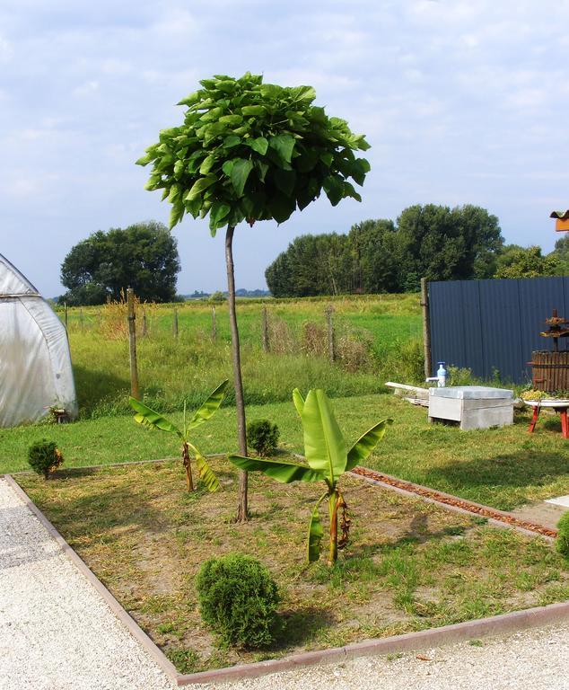 Szerencsecsillag Vendeghaz Otel Kiskoros Dış mekan fotoğraf